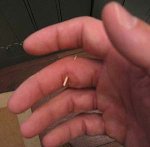 a9b9b363-b420-42b4-93cc-726e9d037239.jpg