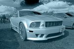 006a.jpg