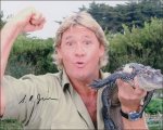 steve-irwin_2.jpg