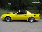 a-mustang-camaro-1w.jpg