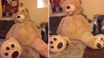 theres-a-dead-body-in-that-bear-we-just-know-it.jpg