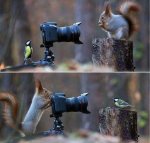 this-brings-new-meaning-to-nature-photography.jpg