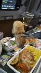 first-class-passengers-get-served-some-interesting-delicacies.jpg