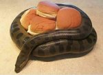 snake-had-one-job-to-guard-the-buns-and-he-wasn-t-prepared-to-f-it-up-this-time.jpg