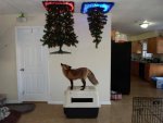 how-to-mess-with-your-pet-fox-on-christmas-wait-what.jpg