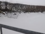 DSCF3087.jpg