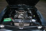 IMG_6879.JPG IMG_6879.JPG