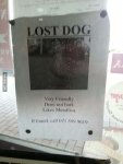 funny-signs10.jpg funny-signs10.jpg