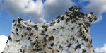hate-spiders-you-d-really-hate-these-107-million-spiders-image-3.jpg hate-spiders-you-d-really-hate-these-107-million-spiders-image-3.jpg