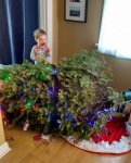 christmas-is-ruined-forever.jpg christmas-is-ruined-forever.jpg