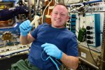 nasa-emailed-a-wrench-to-a-man-in-space-you-read-that-correctly-image-2.jpg nasa-emailed-a-wrench-to-a-man-in-space-you-read-that-correctly-image-2.jpg