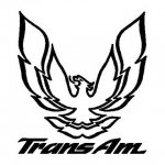 trans am (1).jpg