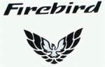 trans am firer bird.jpg