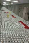many-cups-of-water.jpg many-cups-of-water.jpg