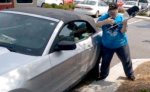 man-arrested-after-smashing-window-to-save-dog-from-hot-car-image-2.jpg man-arrested-after-smashing-window-to-save-dog-from-hot-car-image-2.jpg