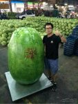 this-dude-won-the-melon-contest.jpg