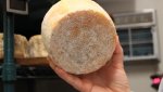 humancheese.jpg humancheese.jpg
