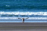 6.6.15-Perfectly-Timed-Photos16-590x389.jpg