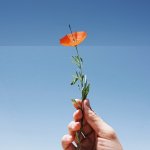 artist-combines-two-separate-photos-creating-one-cool-visual-21-pics-image-15.jpg artist-combines-two-separate-photos-creating-one-cool-visual-21-pics-image-15.jpg