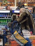 fur-coat-s800-matching-doggie-fur-coat-priceless.jpg