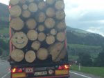 the-one-on-the-lower-right-is-the-joker-of-logs.jpg