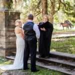 horses-humping-on-your-wedding-day-is-good-luck.jpg horses-humping-on-your-wedding-day-is-good-luck.jpg