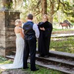 horses-humping-on-your-wedding-day-is-good-luck.jpg