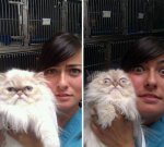 the-cat-just-realized-he-has-to-go-back-in-that-cage-after-the-whacky-photo.jpg the-cat-just-realized-he-has-to-go-back-in-that-cage-after-the-whacky-photo.jpg
