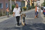 everyone-was-totally-fine-with-him-keeping-a-tiger-totally-fine.jpg everyone-was-totally-fine-with-him-keeping-a-tiger-totally-fine.jpg