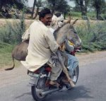 don-t-be-an-ass-give-one-a-ride.jpg