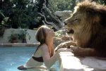 she-didn-t-think-it-was-funny-when-the-lion-did-it-back-to-her.jpg