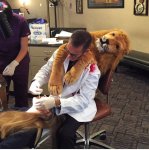 this-dentist-won-the-costume-contest-at-his-office-halloween-party.jpg