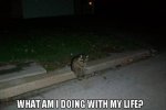 acid-picdump-3.jpg