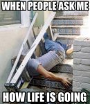 head-in-the-ladder-thats-how-good.jpg