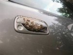 time-to-burn-the-car-for-the-insurance-money.jpg