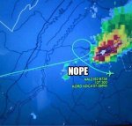 the-bandit-of-airplane-pilots.jpg