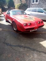 IMG_20250331_123838.jpg