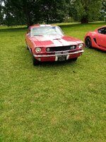 IMG_20250601_140557.jpg