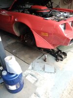 IMG_20250604_124728.jpg