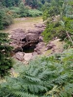 IMG_20250720_104019.jpg