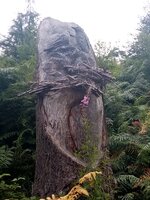 IMG_20250720_103906.jpg