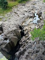 IMG_20250720_104652.jpg
