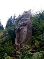 IMG_20250720_103917.jpg