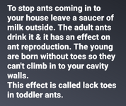 1000103536.png