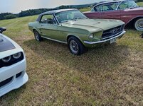 IMG_20260621_100408.jpg