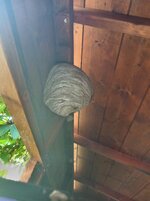 IMG_20260708_100357.jpg