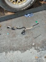 IMG_20260708_143252.jpg