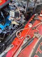 IMG_20260710_113757.jpg