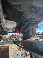 IMG_20260712_094242.jpg