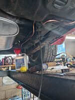 IMG_20260712_103712.jpg